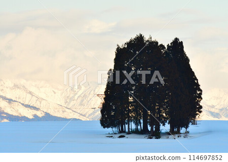 Snowscape of Ikehara (Niigata Prefecture) 114697852