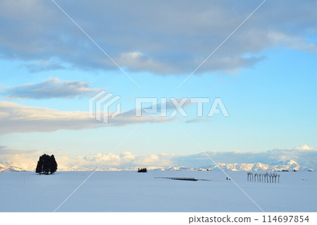 Snowscape of Ikehara (Niigata Prefecture) 114697854