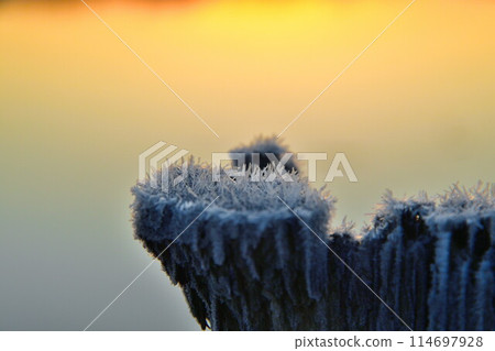 早上福島多拉(新潟) 早上福島多拉(新潟) 114697928