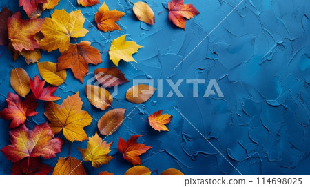 Autumn Leaves on a Blue Background 114698025