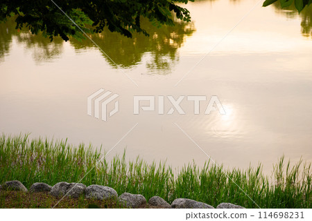 住在吉區萬代池公園 住在吉區萬代池公園 114698231