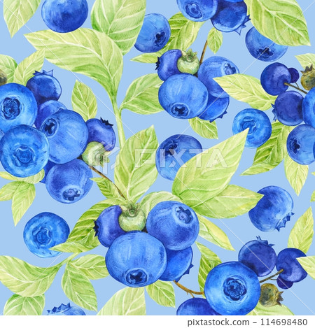 Blueberry watercolor pattern. Seamless pattern of ripe berries on a blue background. Botanical hand drawn illustration for fabric, textile, wallpaper, wrapping paper. Blueberry watercolor pattern. Seamless pattern of ripe berries on a blue background. Botanical hand drawn illustration for fabric, textile, wallpaper, wrapping paper. 114698480