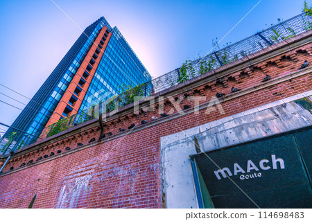 日本東京城市景觀從萬世橋橋看行軍和鴿子 114698483