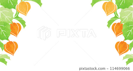 Crown frame 114699066