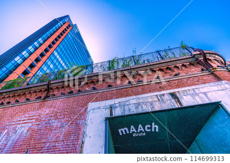 Tokyo cityscape in Japan, including a view of Marche Écute and rows of pigeons "sitting" = May 17th Tokyo cityscape in Japan, including a view of Marche Écute and rows of pigeons "sitting" = May 17th 114699313