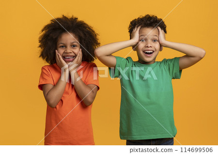 African American young girl and boy are standing against a vivid yellow backdrop. Both children exhibit genuine expressions of happiness and surprise. African American young girl and boy are standing against a vivid yellow backdrop. Both children exhibit genuine expressions of happiness and surprise. 114699506