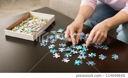 Retirement entertainment. Senior woman playing jigsaw puzzle at home, empty space 114699648