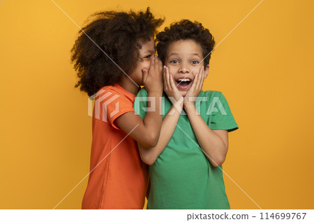 African American cheerful girl whispers into the ear of an excited boy, who reacts with hands on cheeks against a vivid yellow backdrop. Their expressions convey the intrigue of shared secrets. African American cheerful girl whispers into the ear of an excited boy, who reacts with hands on cheeks against a vivid yellow backdrop. Their expressions convey the intrigue of shared secrets. 114699767
