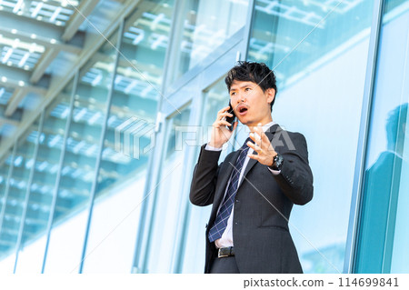 Male businessman talking on smartphone 114699841