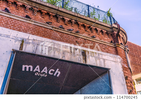 Tokyo cityscape in Japan, including a view of Marche Écute and rows of pigeons "sitting" = May 17th Tokyo cityscape in Japan, including a view of Marche Écute and rows of pigeons "sitting" = May 17th 114700245