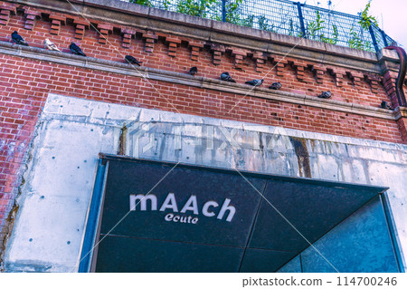 Tokyo cityscape in Japan, including a view of Marche Écute and rows of pigeons "sitting" = May 17th Tokyo cityscape in Japan, including a view of Marche Écute and rows of pigeons "sitting" = May 17th 114700246