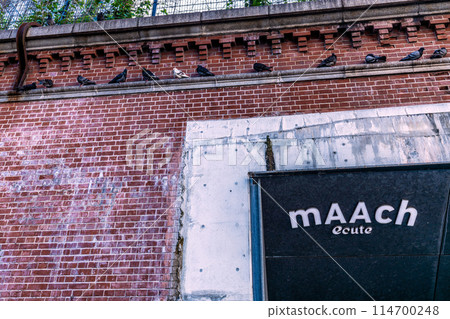 Tokyo cityscape in Japan, including a view of Marche Écute and rows of pigeons "sitting" = May 17th Tokyo cityscape in Japan, including a view of Marche Écute and rows of pigeons "sitting" = May 17th 114700248