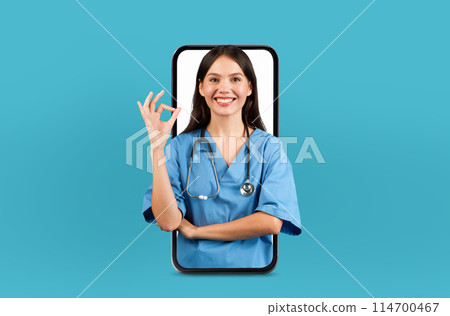 A tech-savvy woman doctor is set up for giving virtual medical advice, shown within the digital bounds of a smartphone screen. 114700467