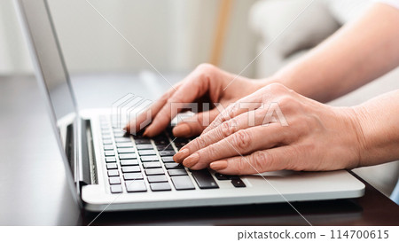 Hands of mature woman working on laptop computer at home, typing something, closeup 114700615