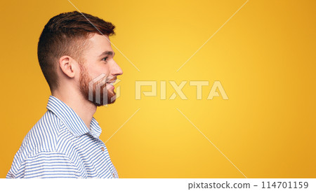 A man with a beard wearing a striped shirt. A man with a beard wearing a striped shirt. 114701159