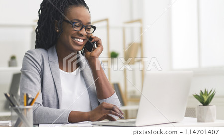 Corporate Communication. Black Businesswoman Talking On Mobile Phone Working On Laptop In Modern Office. Free Space 114701407