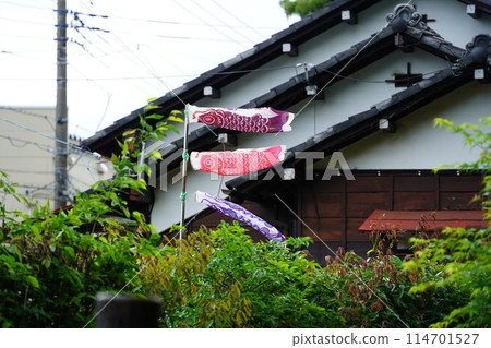 Japanese house and carp streamers flying in the wind 114701527