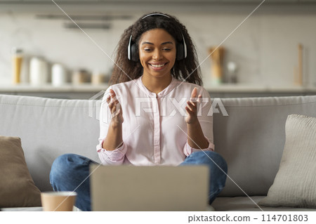 Attractive African American woman working from home, sitting on couch, using laptop and headphones, video call with colleagues 114701803