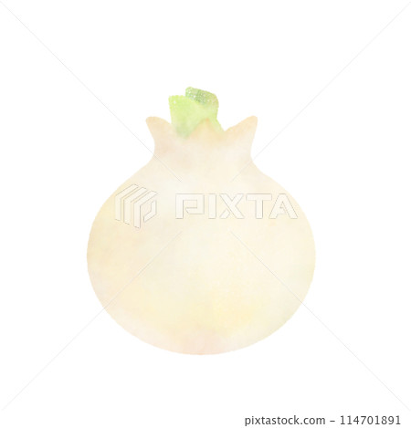 Cute white onion illustration Cute white onion illustration 114701891
