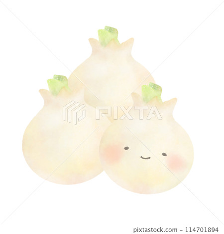 Cute illustration of a white onion with face 114701894