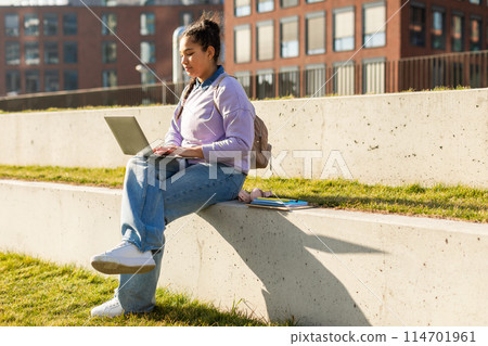 A girl is seated on a concrete wall outdoors, engaged on her laptop. She appears focused on the screen, with buildings in the background. 114701961