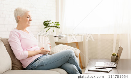 Interesting educational video. Positive modern senior woman watching video on laptop, free space Interesting educational video. Positive modern senior woman watching video on laptop, free space 114701964