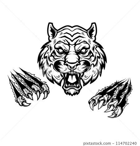 Tiger head and claws. Design element for logo, emblem, sign, poster, t shirt. Vector illustration 114702240