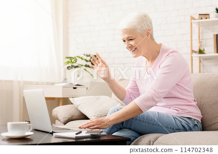 Senior woman using laptop for video call with her far living family, empty space Senior woman using laptop for video call with her far living family, empty space 114702348