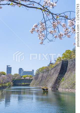 【櫻花】春天的大阪城公園 【櫻花】春天的大阪城公園 114702743