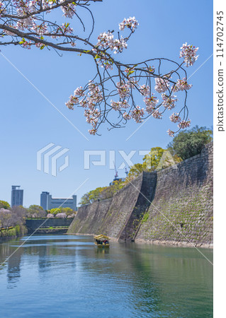 [Cherry Blossoms] Osaka Castle Park in Spring 114702745