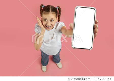 A young girl with braided hair is holding a smartphone with a blank screen and gestures, on a pink background, top view A young girl with braided hair is holding a smartphone with a blank screen and gestures, on a pink background, top view 114702955