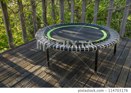 mini trampoline for fitness exercising and rebounding in a backyard patio, spring scenery mini trampoline for fitness exercising and rebounding in a backyard patio, spring scenery 114703176