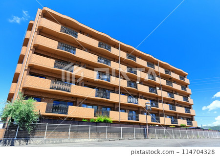 出租公寓和住宅區的形象 114704328