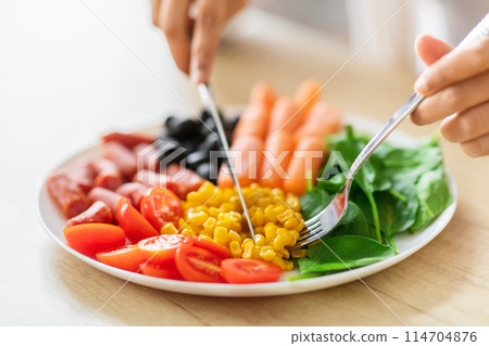 A well-composed image of a hand delicately serving a plate filled with healthy vegetable selection and appetizing meat slices A well-composed image of a hand delicately serving a plate filled with healthy vegetable selection and appetizing meat slices 114704876
