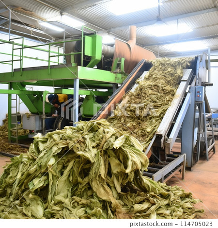 tobacco as a pesticide Tobacco plants as natural pesticide benefits