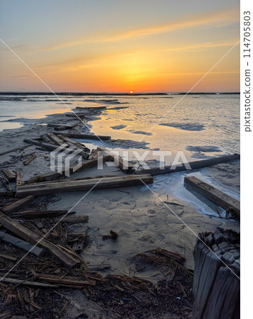 Serene sunset over a calm beach with driftwood and reflections 114705803