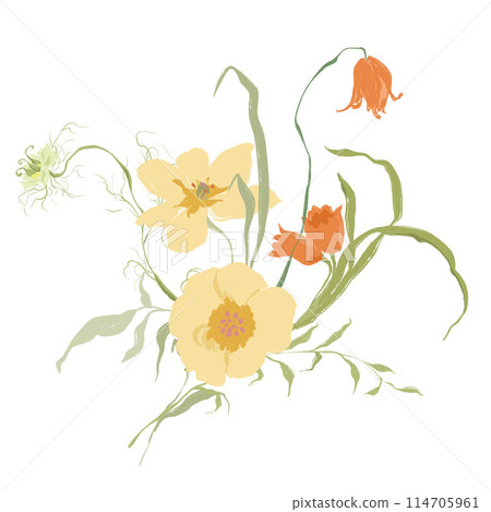 Watercolor abstract flower bouquet of narcissus and tulip. Hand drawn wildflowers isolated on white background. Holiday Illustration for design, print, fabric or background. Watercolor abstract flower bouquet of narcissus and tulip. Hand drawn wildflowers isolated on white background. Holiday Illustration for design, print, fabric or background. 114705961