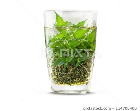 Nettle Tea Nutritive nettle tea in a clear glass with nettle leaves and a healthful 114706400