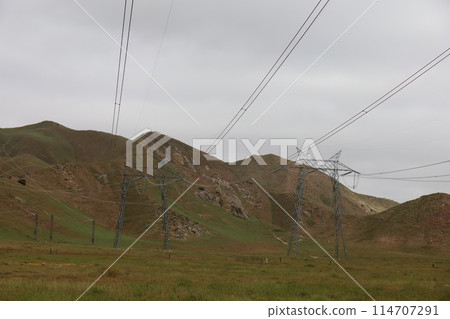 Wildflowers around electric poles at Carrizo Plain National Monument and Soda lake 114707291