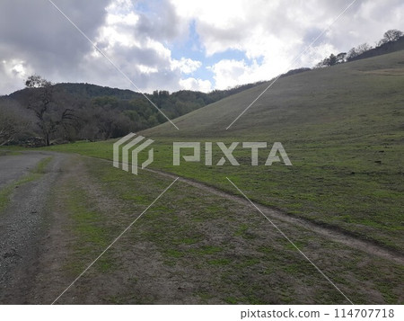 Briones State Park in California Briones State Park in California 114707718