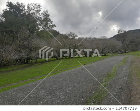 Briones State Park in California 114707719