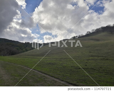 Briones State Park in California 114707721