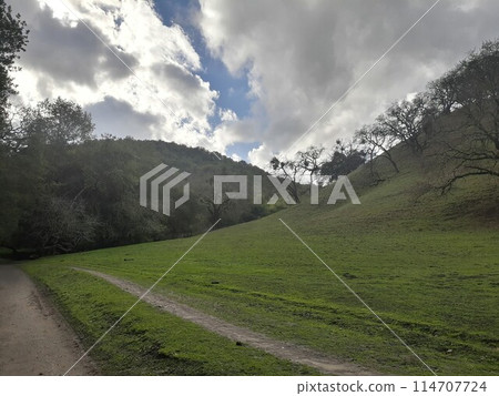 Briones State Park in California Briones State Park in California 114707724