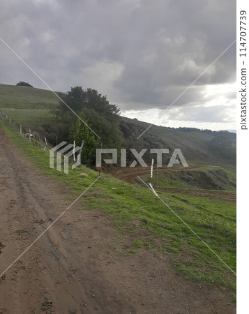 Briones State Park in California Briones State Park in California 114707739