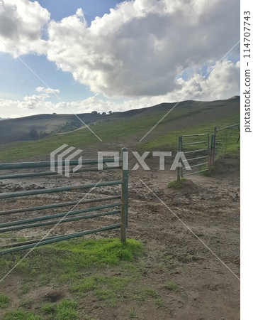 Briones State Park in California Briones State Park in California 114707743