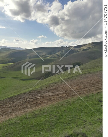 Briones State Park in California 114707751