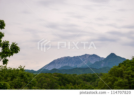 A very beautiful early summer landscape of the Hiruzen Plateau in Okayama Prefecture, Japan A very beautiful early summer landscape of the Hiruzen Plateau in Okayama Prefecture, Japan 114707820