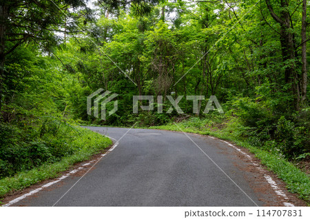 日本岡山縣蒜山高原美麗的初夏風景 日本岡山縣蒜山高原美麗的初夏風景 114707831