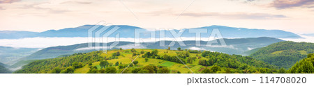 panorama of ukrainian mountainous rural landscape at sunrise. trees and agricultural fields on hills rolling in to the distant valley full of fog. ridge beneath a sky with clouds in morning light 114708020