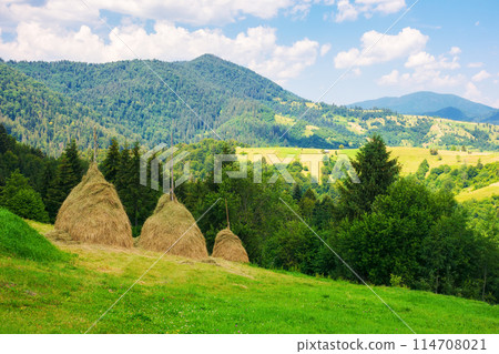 haystacks on a grassy hill. traditional rural scenery of mountainous carpathian countryside of ukraine. calm sunny afternoon with cloud on the sky 114708021
